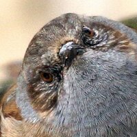 Andy Johnson (@lynher) 's Twitter Profile