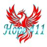 Hope411_'s profile picture. Hope411 is a nonprofit organization that conducts policy research, education and advocacy for Civil & Human Rights with special emphasis on health equity