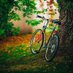 🌲Journey to Nature🏇 (@to__nature) Twitter profile photo 🌲Journey to Nature🏇 (@to__nature) Twitter profile photo