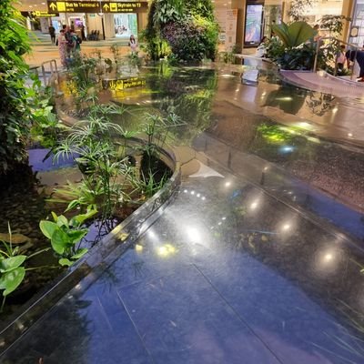 tanptable14's profile picture. 