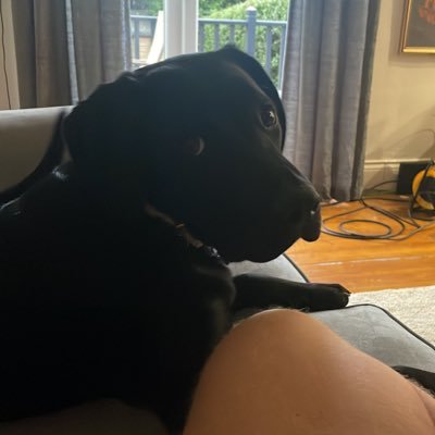 adamNE1993's profile picture. 🇬🇧