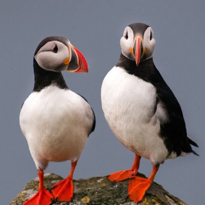 MarkJoaqui23192's profile picture. 