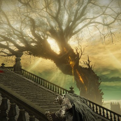 sizzlinjalapeno's profile picture. 