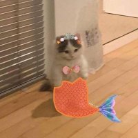 denizkizi🧜🏽‍♀️ 🪸🐚 (@nealakayaamur) Twitter profile photo