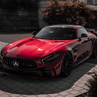 NipaTrimu's profile picture. 