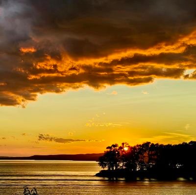 mikef_sf's profile picture. 