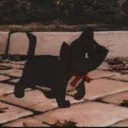 Coveoni_'s profile picture. howdy