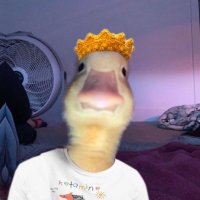 DeGoose (@degaminggoose) 's Twitter Profile