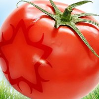 taffa.bsky.social 🍀 (@taffaonline) 's Twitter Profile