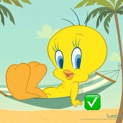 todayisnoturday's profile picture. Deactivated too long, so my acct w 5k followers was deleted! 💔 Starting over after 17 years on Twitter🥲. Follow me, I follow back! 🥰