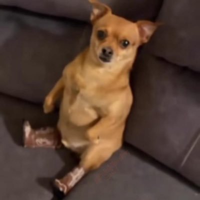 Soy bien simple, amo bailar, amo a los animales, me gusta servir, amo la vida. Me muevo por la motivación de contribución, detesto a la gente corrupta.