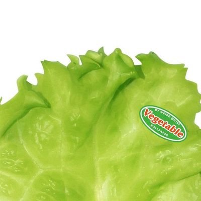 RebusanKaleng's profile picture. 