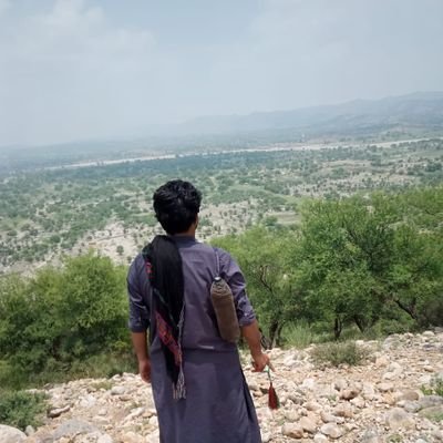 SajadBaloc51406's profile picture. 