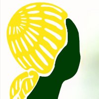 ZWRCN Zimbabwe (@zwrcnzimbabwe) 's Twitter Profile