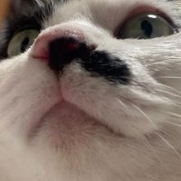 🕯베루🕯 (@i_am_beru) 's Twitter Profile