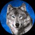 Bozkurt (@bozkurtbozkurt_) Twitter profile photo