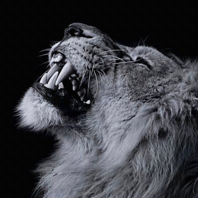 z92_xv's profile picture. ..