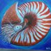 Beth's Treasure Hunts! (@bethpaintings) Twitter profile photo Beth's Treasure Hunts! (@bethpaintings) Twitter profile photo