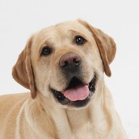 Angie (@jazzfan216) 's Twitter Profile