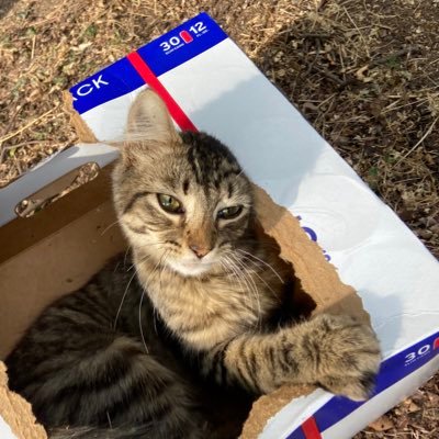 virtuallyself's profile picture. 