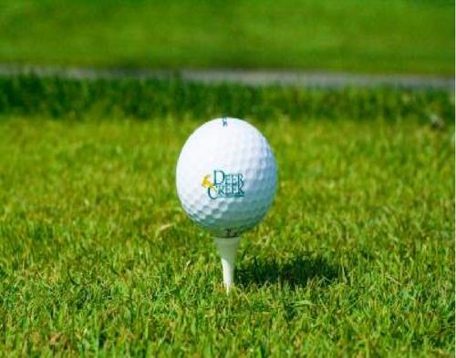 LSoundy's profile picture. 🚩🍀