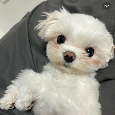 arungta98's profile picture. https://t.co/4sYlsMrmq7  DM FOR ALPHA CALLS