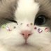 あやたろう🍵っ ̫ -ˆ⸝⸝ᶻᶻᶻ (@ayal0vechan) Twitter profile photo あやたろう🍵っ ̫ -ˆ⸝⸝ᶻᶻᶻ (@ayal0vechan) Twitter profile photo