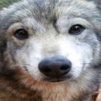 solnyyshka's profile picture. 25 ✦ she/they ✦ taken ✦ 🔞 nsfw profile, minors DNI‼️🔞 ✦