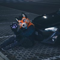 Canys (@canyswaltz) 's Twitter Profile