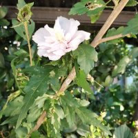 fumio．maedashi (@r83zftdhnd42230) Twitter profile photo