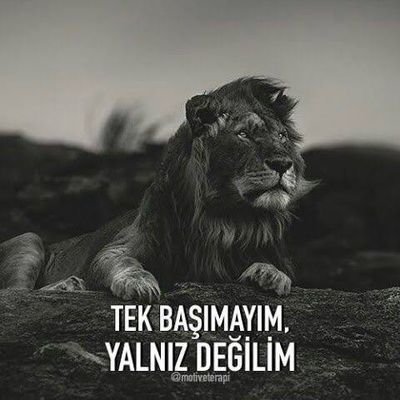 3416Metin's profile picture. Arayış yok