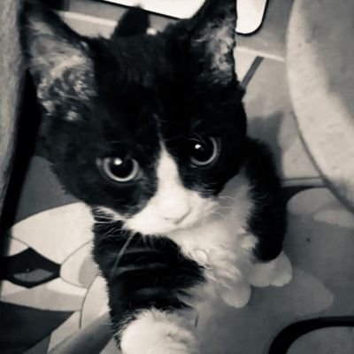 piiii374378's profile picture. 