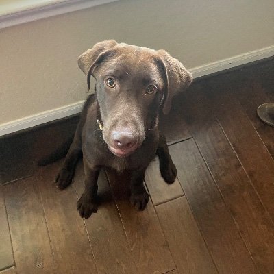 OwenMcManus15's profile picture. 