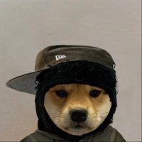 Knight.sol (@habeeb_jr) 's Twitter Profile Photo Knight.sol (@habeeb_jr) 's Twitter Profile Photo