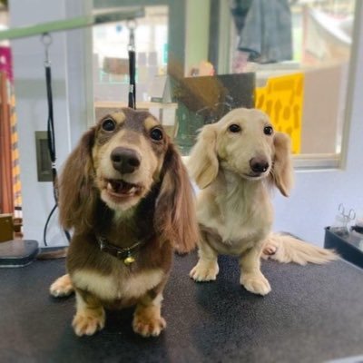 Andy740821's profile picture. 大家好啊！