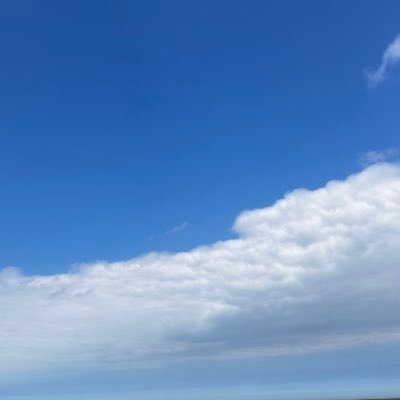 sunrisebarnes's profile picture. @sunsetvalkyrie backup