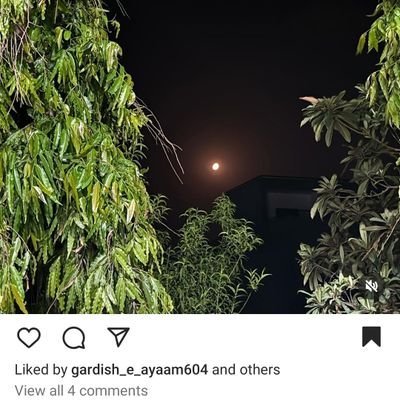 MaqsoodChaudh18's profile picture. 