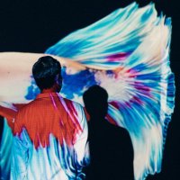 大橋悠太 (@03263mikan) Twitter profile photo