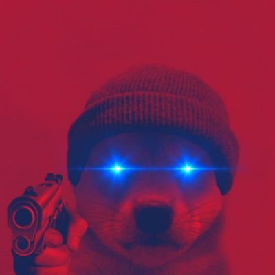 SumaP88315's profile picture. 