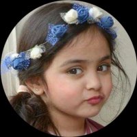 الـشـهــد 🇸🇦 حسابي 2 (@shoooshooo2016_) 's Twitter Profile