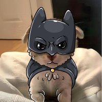 whoknowsmewtf (@whoknowsmewtf) 's Twitter Profile