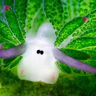 GalaxyDimensi0n's profile picture. Don’t mind me, just chillin