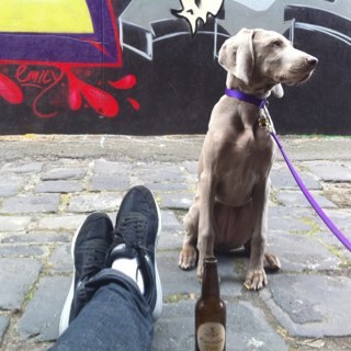 CavalierHeath's profile picture. Co-Owner and Marketing/Sales Manager at Cavalier Brewing.