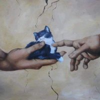 Briar Patch (@briarpatchwill) 's Twitter Profile