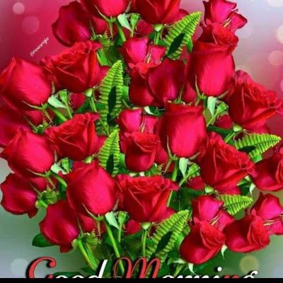 ShravanMau89384's profile picture. 