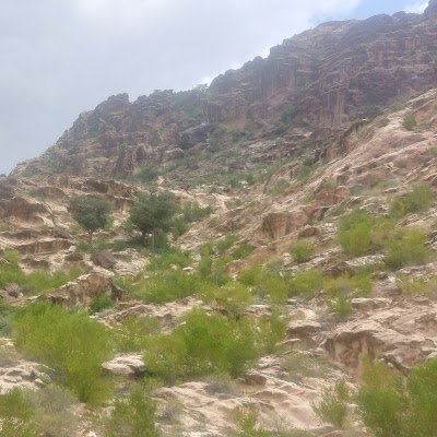 rahman_sai23241's profile picture. 