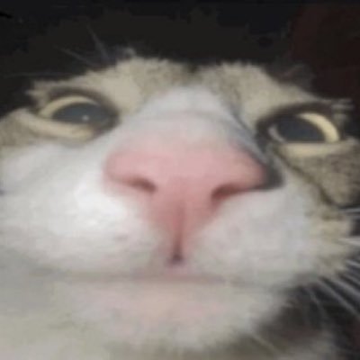 siladot_'s profile picture. 