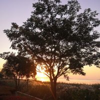 贵崽 (@lnsjrkskuefr3ut) 's Twitter Profile Photo