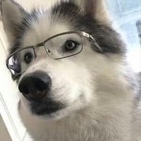 Even_wither (@even_wither) 's Twitter Profile