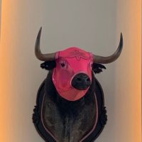 Patrick Crow (@patrick_crow7) 's Twitter Profile Photo Patrick Crow (@patrick_crow7) 's Twitter Profile Photo